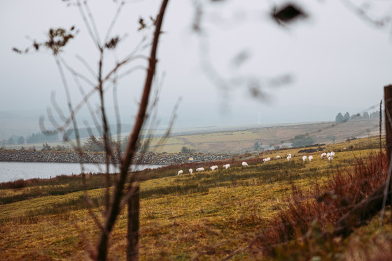 Spacesuit Collections Photo ID 514683, Adam Pigott, Cambrian Rally, UK, 25/10/2024 13:26:51