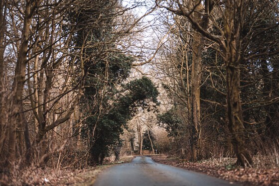 Spacesuit Collections Photo ID 534723, Adam Pigott, East Riding Stages, UK, 21/02/2025 13:24:45