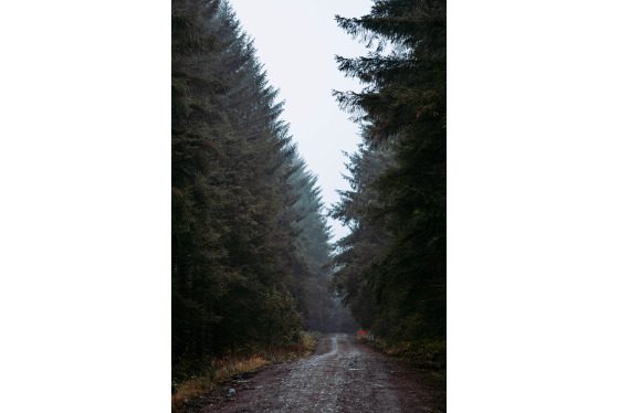 Spacesuit Collections Photo ID 514674, Adam Pigott, Cambrian Rally, UK, 25/10/2024 12:31:29