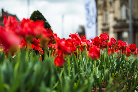 Spacesuit Collections Photo ID 142463, Adam Pigott, Hull Street Race, UK, 28/04/2019 10:36:24