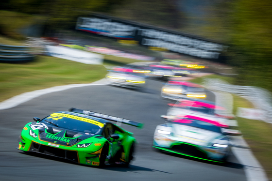 Spacesuit Collections Photo ID 140927, Nic Redhead, British GT Oulton Park, UK, 22/04/2019 11:41:32