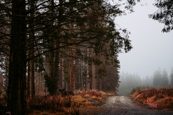 Spacesuit Collections Photo ID 514652, Adam Pigott, Cambrian Rally, UK, 25/10/2024 12:15:13