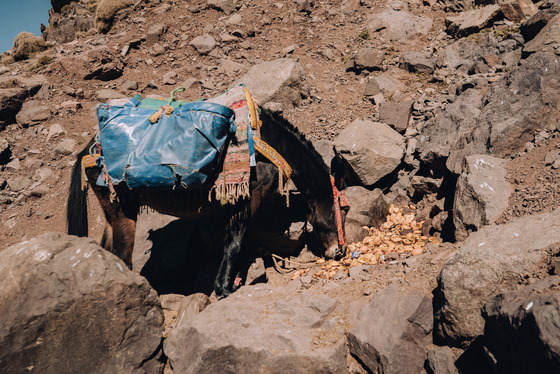 Spacesuit Collections Photo ID 527642, Pete Rudd, Expedition to Mount Toubkal, Morocco, 13/01/2025 12:18:40