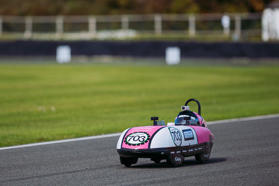 Spacesuit Collections Photo ID 429593, Adam Pigott, Goodwood International Final, UK, 08/10/2023 13:50:36