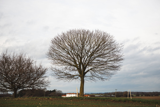 Spacesuit Collections Photo ID 534693, Adam Pigott, East Riding Stages, UK, 21/02/2025 12:45:23