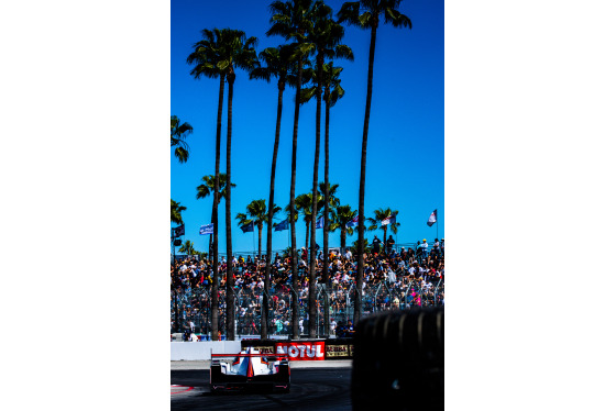 Spacesuit Collections Image ID 140022, Andy Clary, IMSA Sportscar Grand Prix of Long Beach, United States, 13/04/2019 15:19:24
