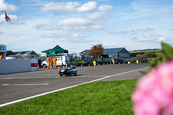 Spacesuit Collections Photo ID 332877, Adam Pigott, Goodwood International Final, UK, 09/10/2022 13:35:18