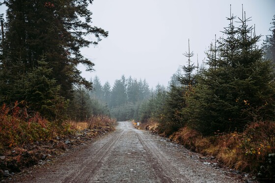 Spacesuit Collections Photo ID 514659, Adam Pigott, Cambrian Rally, UK, 25/10/2024 12:21:21