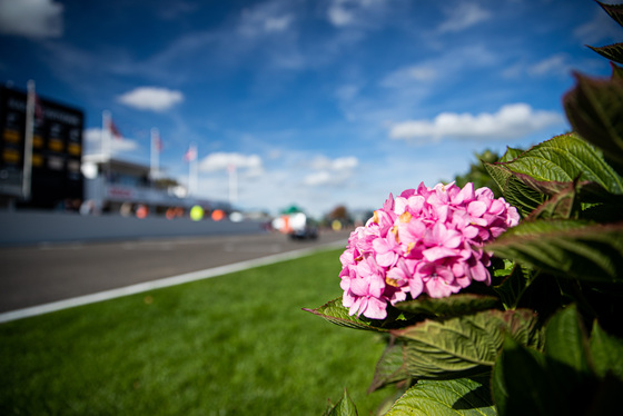 Spacesuit Collections Photo ID 332888, Adam Pigott, Goodwood International Final, UK, 09/10/2022 13:36:40