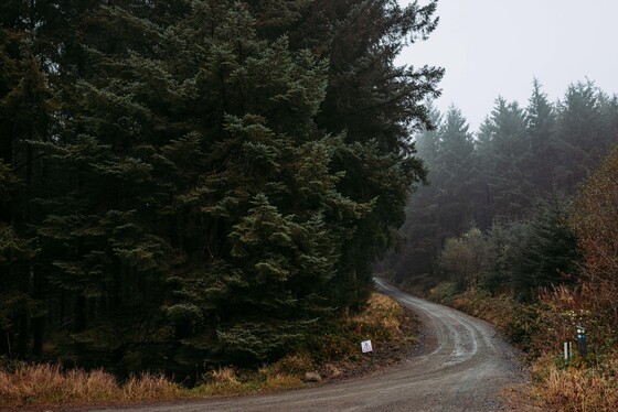 Spacesuit Collections Photo ID 514673, Adam Pigott, Cambrian Rally, UK, 25/10/2024 12:30:45