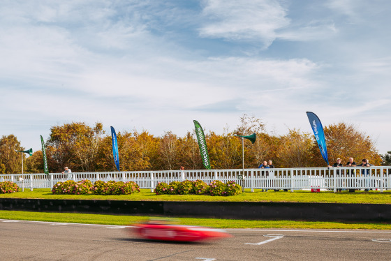 Spacesuit Collections Photo ID 429895, Adam Pigott, Goodwood International Final, UK, 08/10/2023 11:41:53