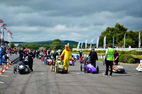 Spacesuit Collections Photo ID 31636, Lou Johnson, Greenpower Goodwood, UK, 25/06/2017 16:39:54