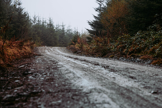 Spacesuit Collections Photo ID 514663, Adam Pigott, Cambrian Rally, UK, 25/10/2024 12:23:58