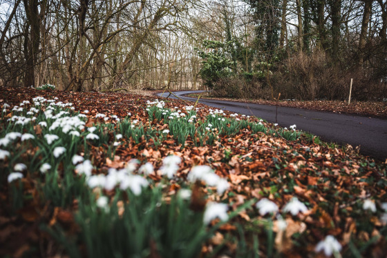 Spacesuit Collections Photo ID 534712, Adam Pigott, East Riding Stages, UK, 21/02/2025 13:27:47