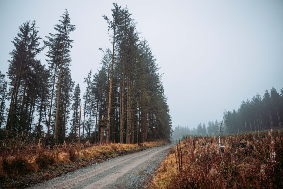 Spacesuit Collections Photo ID 514655, Adam Pigott, Cambrian Rally, UK, 25/10/2024 12:17:32