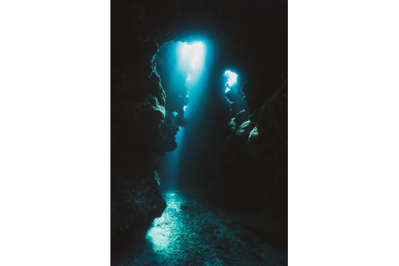 Spacesuit Collections Photo ID 192549, Taylor Robbins, Freediving, Cayman Islands, 23/10/2018 08:57:53