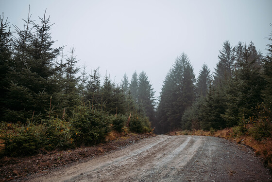 Spacesuit Collections Photo ID 514660, Adam Pigott, Cambrian Rally, UK, 25/10/2024 12:22:47