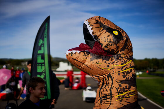 Spacesuit Collections Photo ID 334051, James Lynch, Goodwood International Final, UK, 09/10/2022 15:03:12