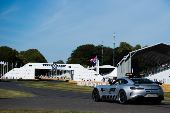 Spacesuit Collections Photo ID 160431, Lou Johnson, Goodwood Festival of Speed, UK, 04/07/2019 18:07:04