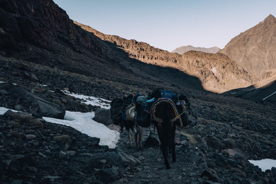 Spacesuit Collections Photo ID 527672, Pete Rudd, Expedition to Mount Toubkal, Morocco, 13/01/2025 15:57:13