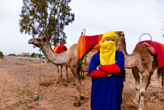 Spacesuit Collections Photo ID 2978, Dan Bathie, Marrakesh ePrix, Morocco, 10/11/2016 12:42:18