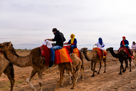 Spacesuit Collections Photo ID 3014, Dan Bathie, Marrakesh ePrix, Morocco, 10/11/2016 13:17:52