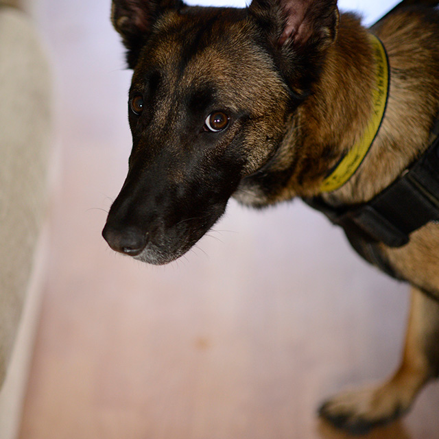 Staff Image - Roxie